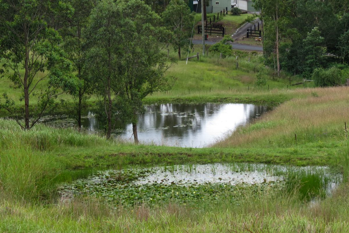 331 Kimbriki Road, Kimbriki Via, Tinonee