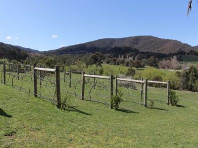 811 Glen Creek Road BARJARG, Mansfield