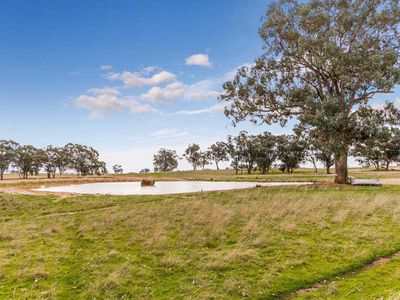 494 Carmody Road, Muskerry