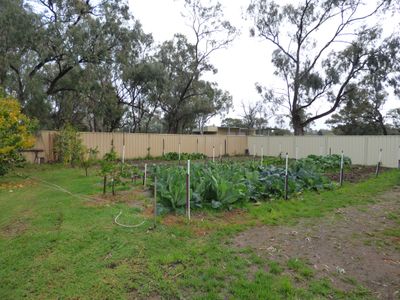 29 Carrington Street, Darlington Point