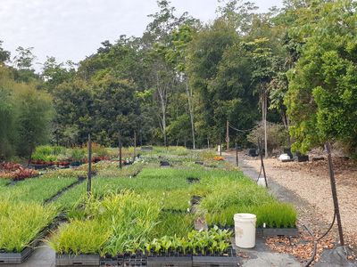 110  Yankee Creek Road, Mullumbimby Creek