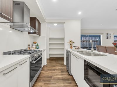 14 Walbrook Drive, Clyde North