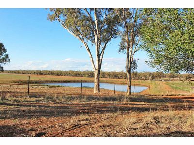 1382 Goohli Road, Gunnedah