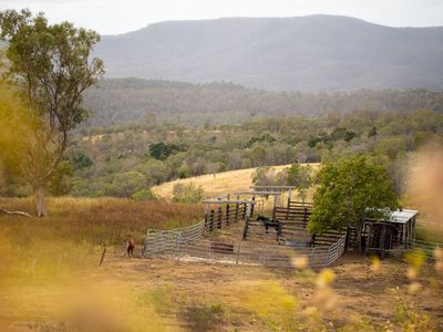 43 Berlin Road, Mount Berryman