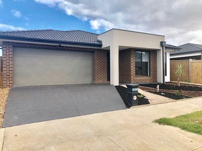 18 Seedgrass Street, Point Cook
