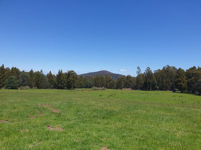 Lot 1 (99 Acres), Coal Mine Road, Kaoota
