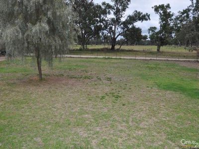 9 Nardoo Street, Ballimore