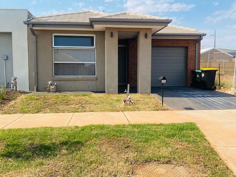 24 Rice Flower, Strathtulloh