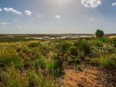 181 Athol Street, Port Hedland