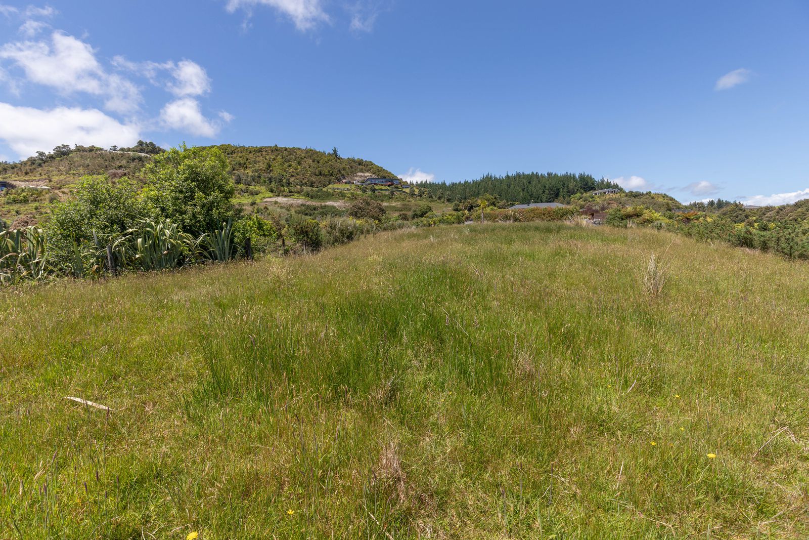 3 Middle Paddock Road