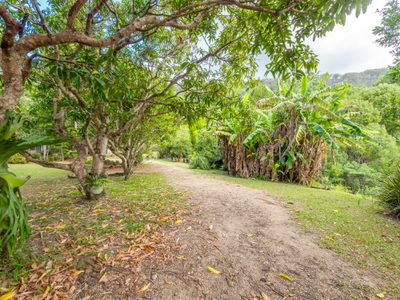 665 Left Bank Road, Mullumbimby Creek