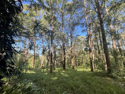 489 Davis Road, Jiggi