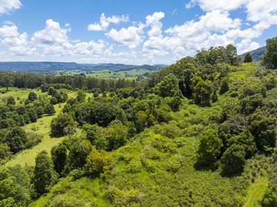353 Gungas Road, Nimbin