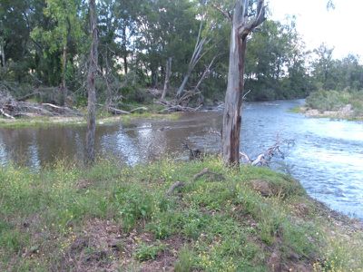 Mingoola Station, Tenterfield