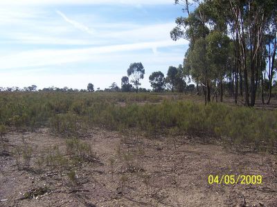 Willows Road, Murchison