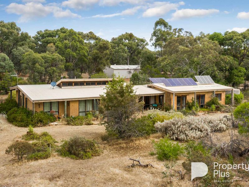 Real Estate Agent Bendigo Property Plus Real Estate