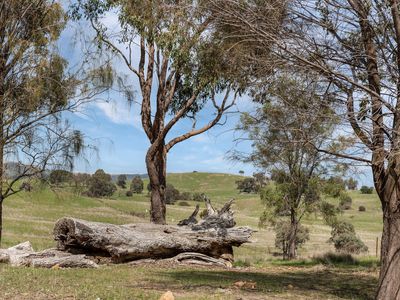 505 Hardings Lane, Tooborac