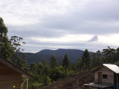 156 Kalonga Road, Nicholls Rivulet