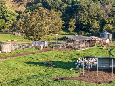 392 TUNTABLE FALLS ROAD, Nimbin