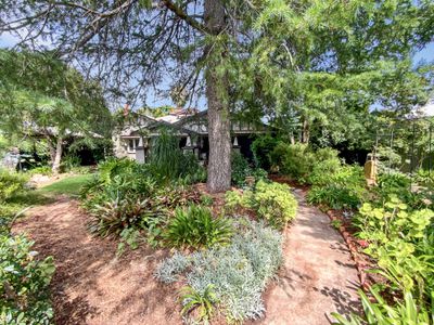 23 Clement Street, Forbes