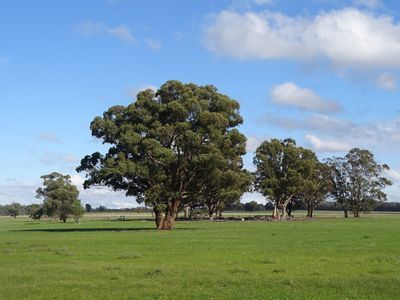 351 Tattersalls Lane, Moormbool West