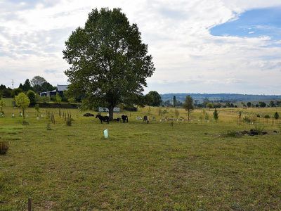 52 Sunnyview Drive, Glen Innes