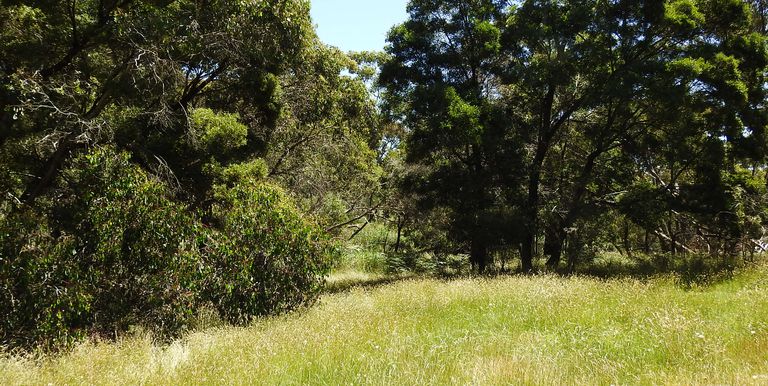 Lot 1 & 2, Bonniedoon Road Marraweeny, Strathbogie