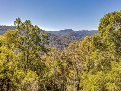 1334 TAMBORINE OXENFORD ROAD, Wongawallan