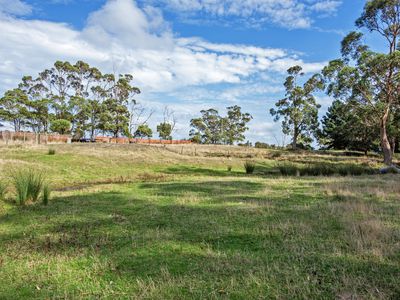 211 Back Line Road, Forest