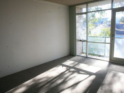84 / 51 Hereford Street, Glebe
