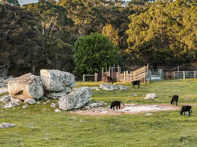 Lot 2 / 600 Tooborac-Baynton Road, Glenhope East