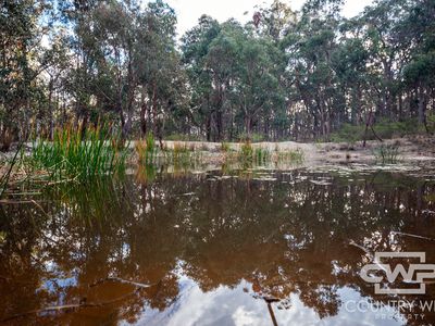 Lot 140, / Dellwood Road, Deepwater