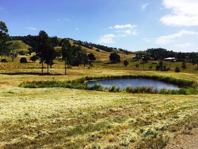 170 Hyne Estate Road, Kandanga