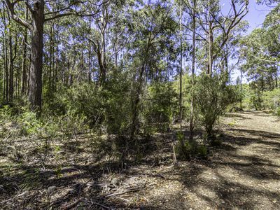 Lot 1  Jager Road, Southport