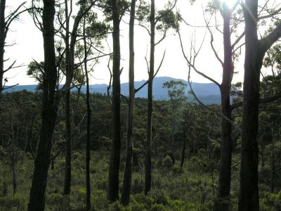 Lune River Road, Lune River