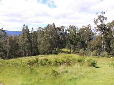 47 Allens Road, Grove