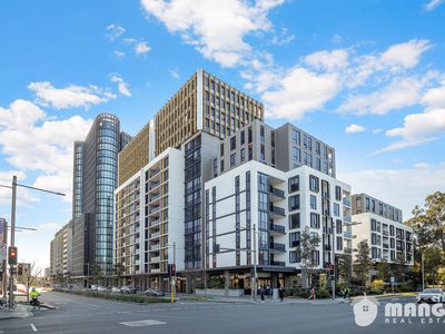 408 / 5 Joynton Ave, Zetland