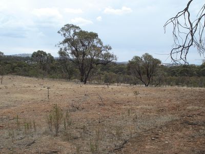 Lot 11 Gibson Road, Wedderburn