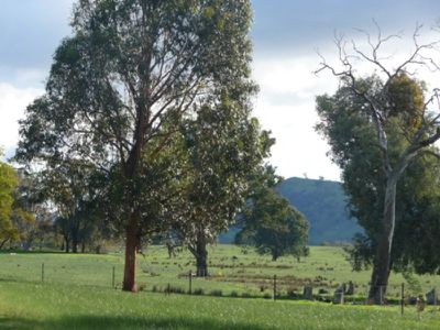Mahers Road, Bonegilla