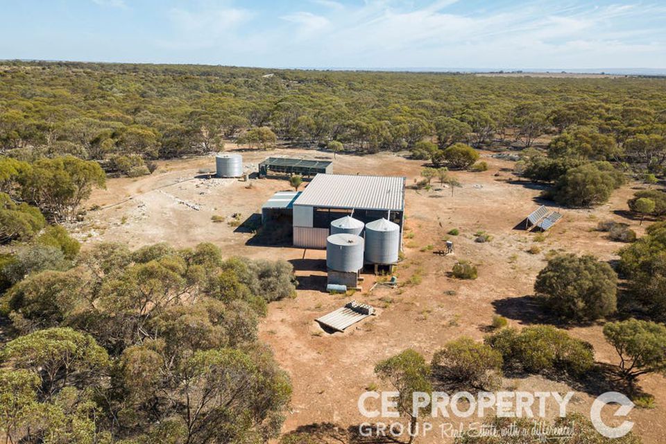 113 / Mallee Road, Walker Flat