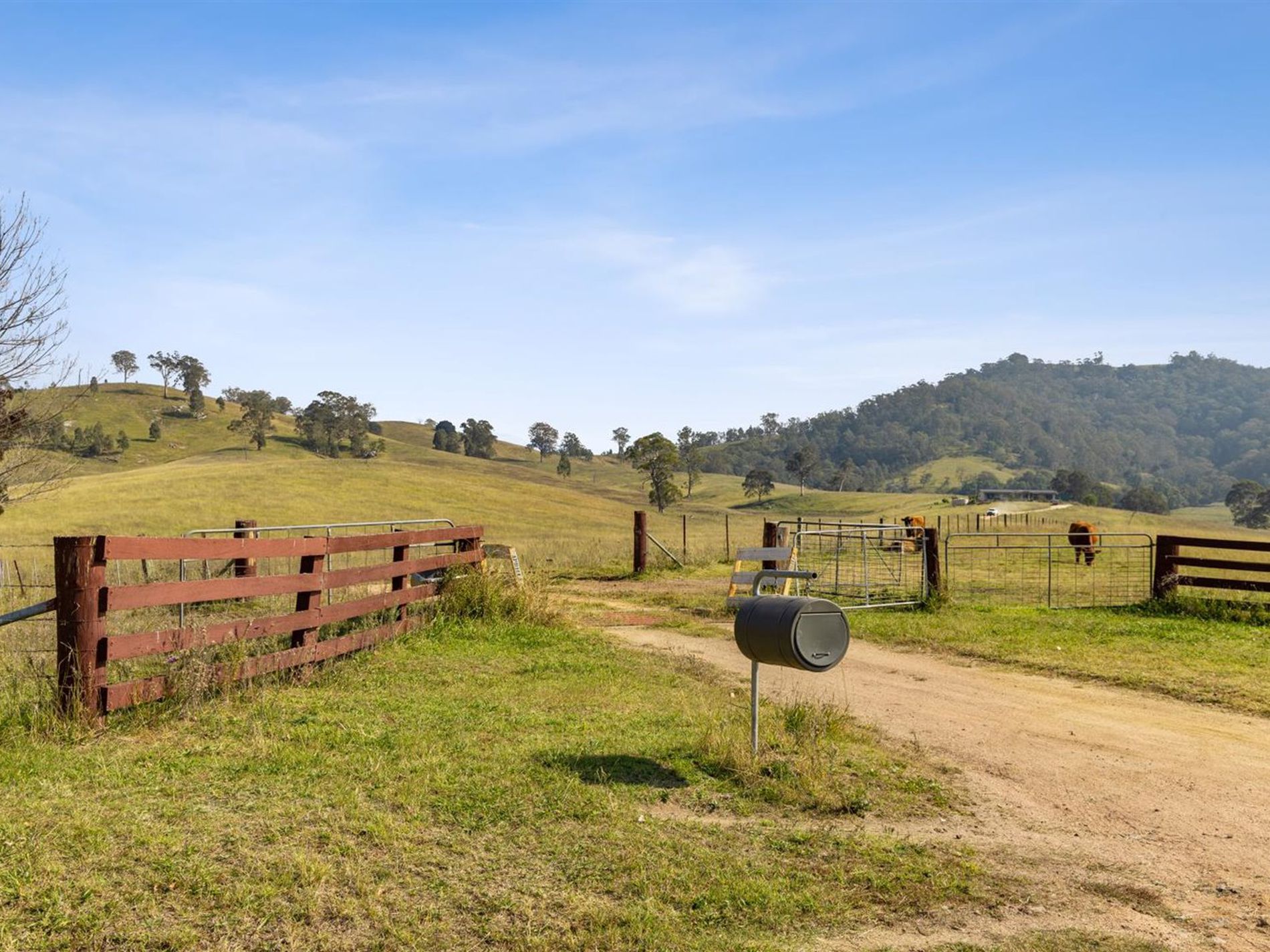 474 Neringla Road, Neringla, Araluen