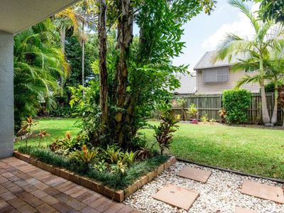 2 / 46 Poinciana Avenue, Tewantin