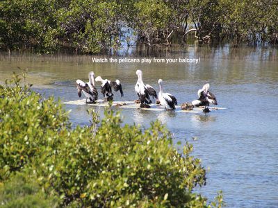 23 Point Road, Tuncurry
