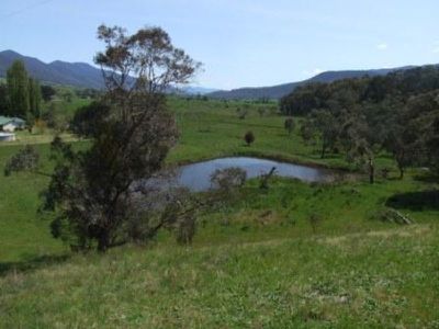 275 Mountain Creek Road, Tawonga