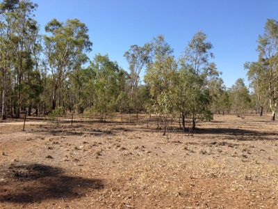 Cobb Highway, Deniliquin