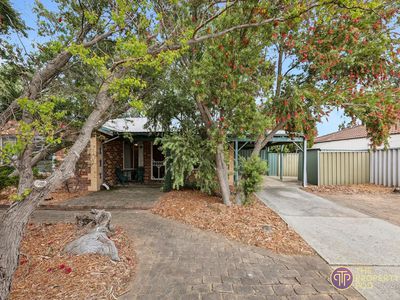 2 Wallaby Place, Brookdale