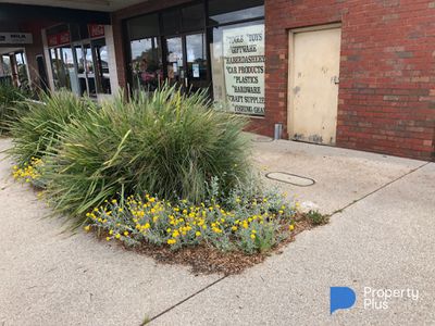 52 High Street, Wedderburn