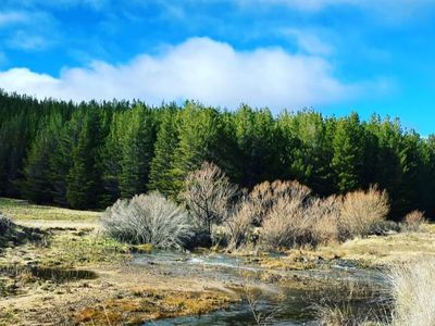 4782 Jerangle Road, Captains Flat