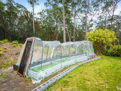 241 Bodalla Park Drive, Bodalla