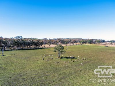 Lot 8, - Emmaville Road, Emmaville